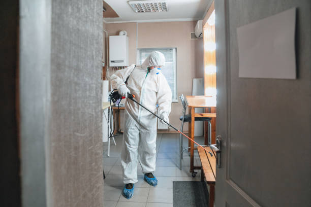 Reliable Forest City, PA Mold Removal Solutions